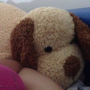 Meet your Posher, Mia