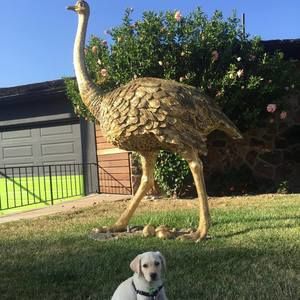 Meet your Posher, Trisha