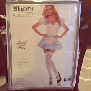 Lovely Alice in Wonderland Costume