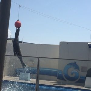 Meet your Posher, Jordan