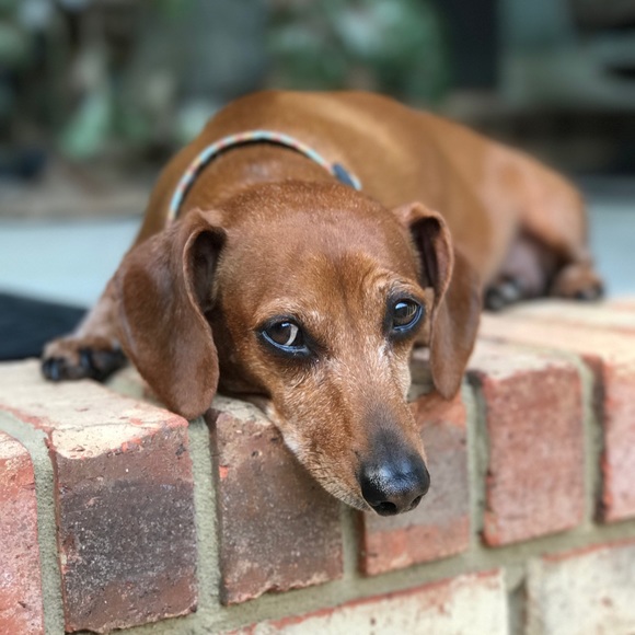 Hello! 💕🌷✨ - Picture 6 of 6