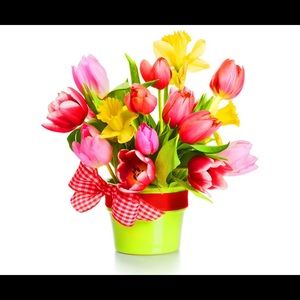 Meet your Posher, Crystal