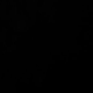 Meet your Posher, Skyler