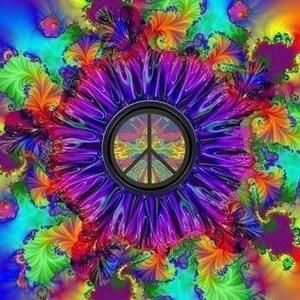 Meet your Posher, Jodi