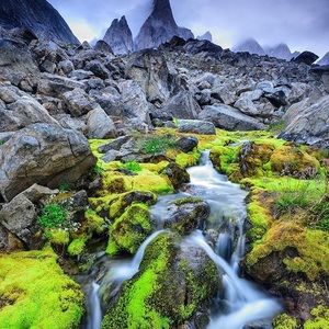 Meet your Posher, Amira