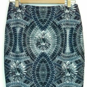 H&M Gem Pencil Skirt
