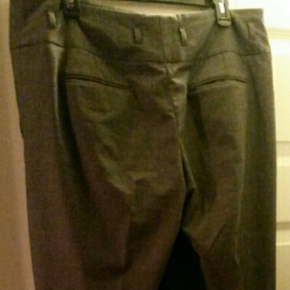 Dress Pants
