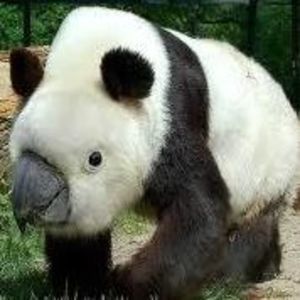 Meet your Posher, Walter