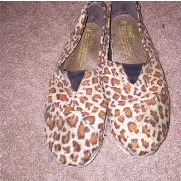 Leopard toms