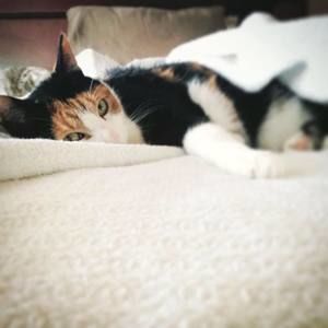 Meet your Posher, Diana