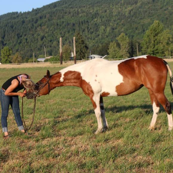 Meet your Posher, Ashley