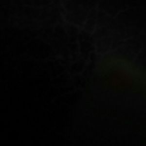 Meet your Posher, Roxana