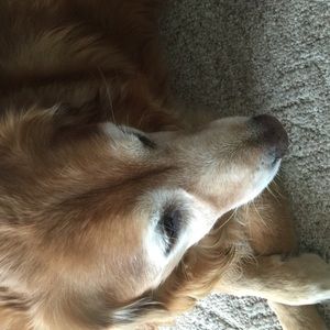 Meet your Posher, Carolyn