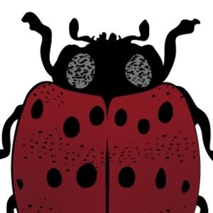 Meet your Posher, Lara