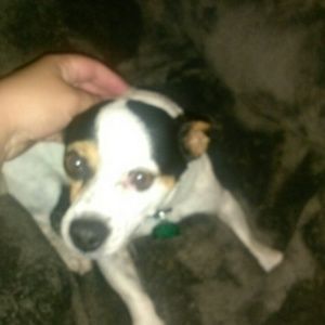 Meet your Posher, Brenda