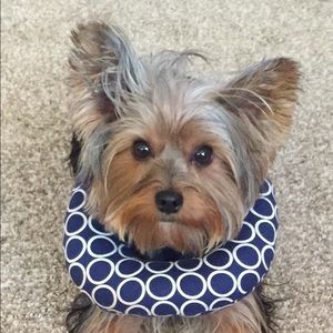 Meet your Posher, Brandi