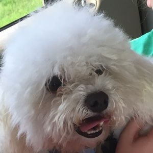 Meet your Posher, Mary