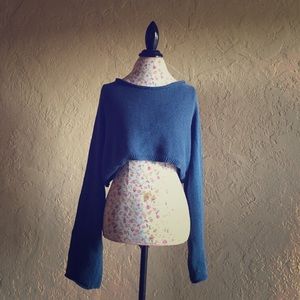 Urban Outfitters Long Sleeved Crop Sweater