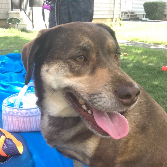 Meet your Posher, Kristine - Picture 5 of 8