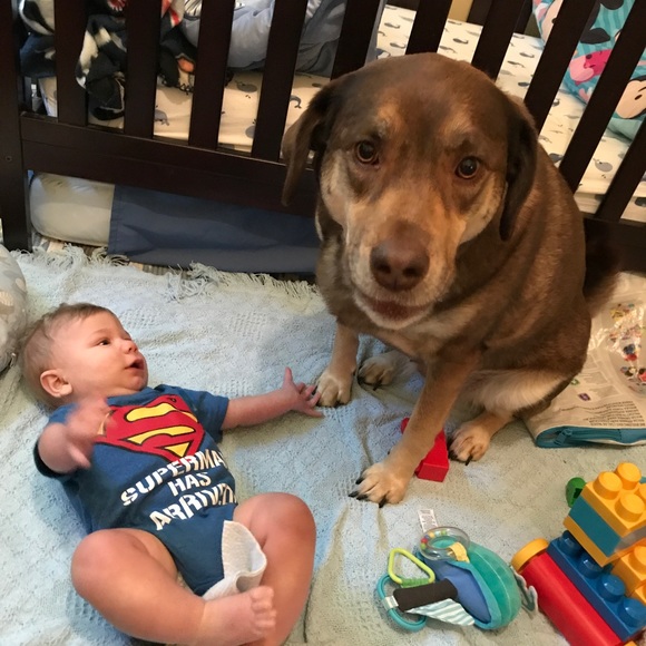 Meet your Posher, Kristine - Picture 8 of 8