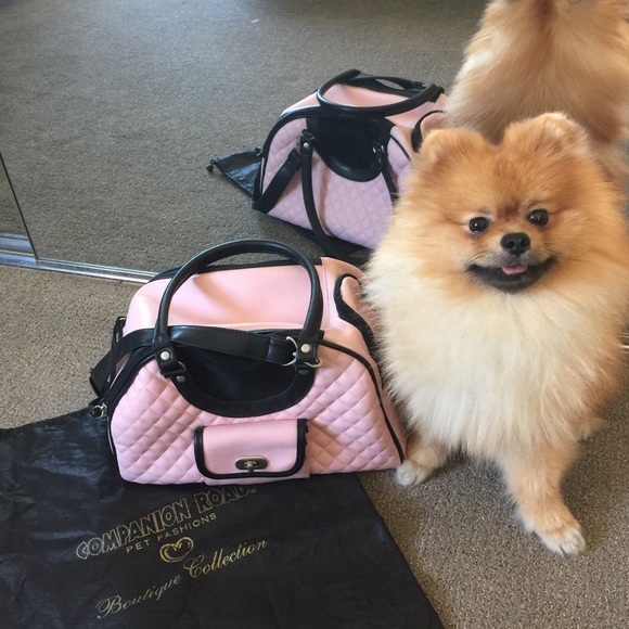 pomeranian carrier bags