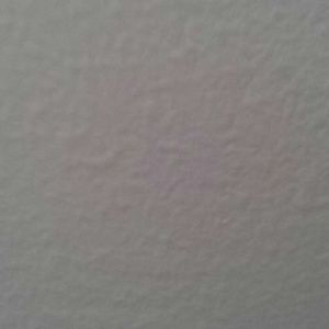 Meet your Posher, Elgin