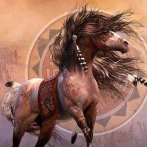 Meet your Posher, Dianna