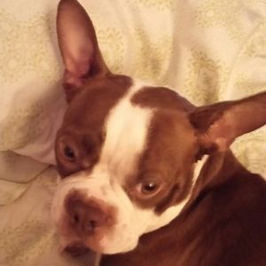 Meet your Posher, Veronica