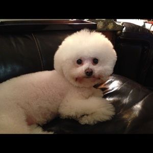 Meet your Posher, Jon