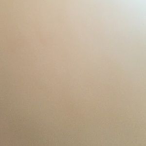 Meet your Posher, Lily