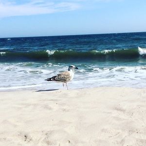 Meet your Posher, Natalia