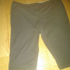 Avenue Stretch Pants
