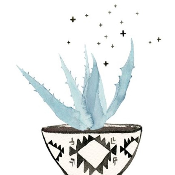 Meet your Posher, Bailey