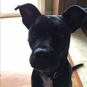 Meet your Posher, Ash