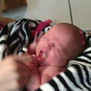 Meet your Posher, Pam