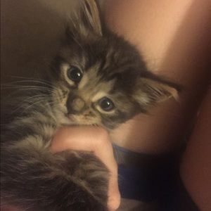 Meet your Posher, Daniela