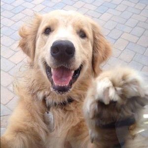 Meet your Posher, Carole