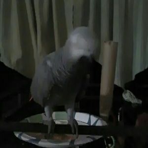 Meet your Posher, Jeff