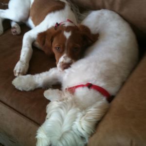 Meet your Posher, Caleb