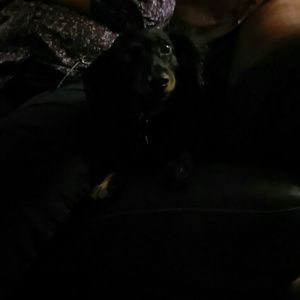 Meet your Posher, Debbie