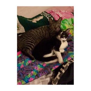 Meet your Posher, Gabrielle