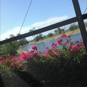 💕Thanks for the shares and likes!💕