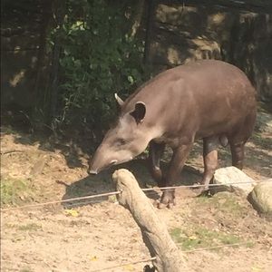 Meet your Posher, Shannon