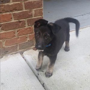 Meet your Posher, Kiki