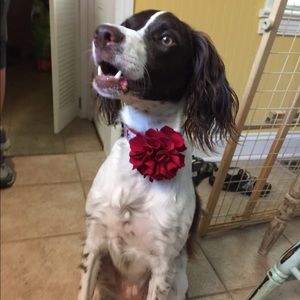 Meet your Posher, Mo