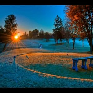 Meet your Posher, Alondra