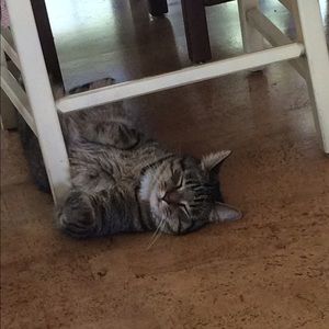 Meet your Posher, Holly