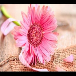 Meet your Posher, Renee