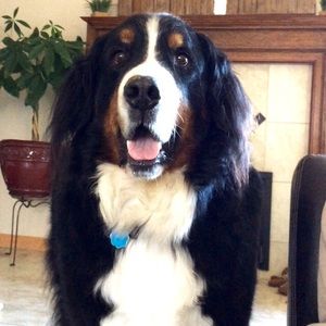 Meet your Posher, Caitlin