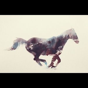 Meet your Posher, Delaney